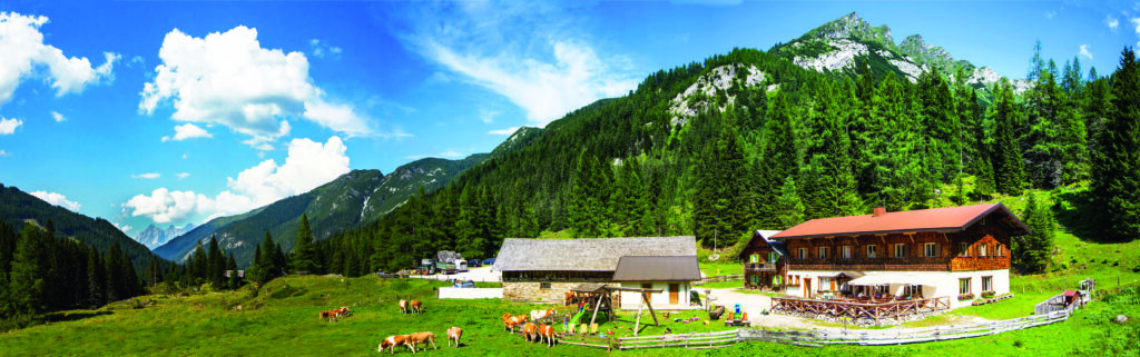 Ein Panoramabild der Vögeialm in Forstau